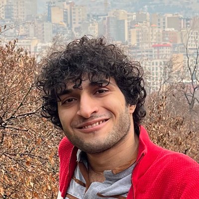 Transformer Interpretability Researcher, MSc Student in AI at Sharif University of Technology
