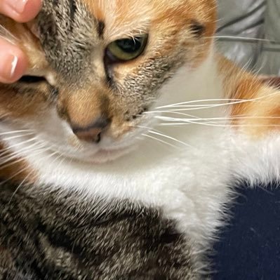 motimoti_srtm's profile picture. ↓必読お願いします