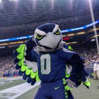 12th man, then, now, forever (@seahawksfan776) 's Twitter Profile