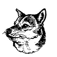 Dog Knights (@dogknights) 's Twitter Profile Photo Dog Knights (@dogknights) 's Twitter Profile Photo