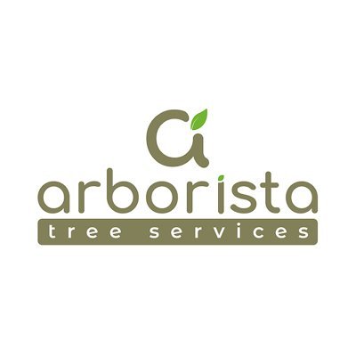 Tree Surgeons South London — visit https://t.co/OpFB7ggwr4