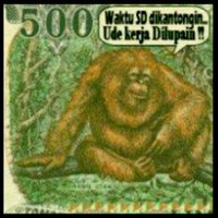 shellmank🐚 (@sidimangku89240) 's Twitter Profile Photo