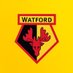 Watford Football Club FM (@watfordfcfm) Twitter profile photo Watford Football Club FM (@watfordfcfm) Twitter profile photo