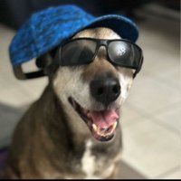 Jaycee Leannon (@jleannon96057) 's Twitter Profile