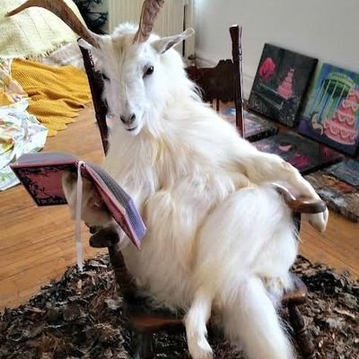 BaggeLover69's profile picture. I would be a danger to society if I wasn't a complete and utter moron