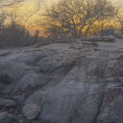 MendoncaEmilton's profile picture. Empresário, Um eterno aprendiz das boas práticas políticas. Nordestino e cearense com muito orgulho, pai. CANCELADO PELA BOLHA