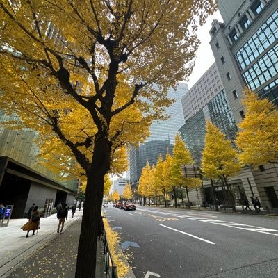 poka81211's profile picture. 2024年1月からSTEPN開始 S国エナ20 2025年 4月から STEPN Go開始 エナ10 2184もやってます！