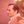 شِعر وأَشياء أُخرى (@fouadhdad) profile picture