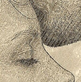 Luisa1518013's profile picture. The true essence of empathy is to appropriately understand someone’s feelings. To put it simply, it refers to the awareness of the thoughts & emotions of others