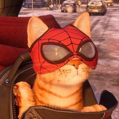 Gayashijo's profile picture. souuu