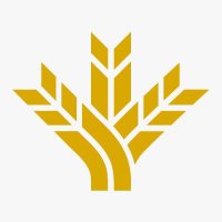 Caja Rural de Aragón (@cajaruralaragon) 's Twitter Profile