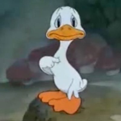 BHerb17's profile picture. 