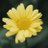 5coyvKEO9Bb8F1W's profile image