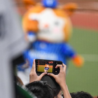 De_gittan's profile picture. 贔屓は横浜🍜 M15 M43 M60 スピッツ