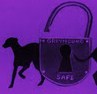 Greyhound Safe
