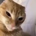 aysgwjsu (@hfessgki) Twitter profile photo aysgwjsu (@hfessgki) Twitter profile photo