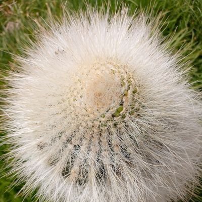 Leer, escuchar buena música, ver a las personas y admirar la naturaleza