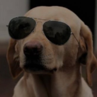 edristtv's profile picture. https://t.co/p9WT8GYhMB