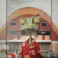 3liiiwa ⵣ (@3liiiwa) 's Twitter Profile Photo 3liiiwa ⵣ (@3liiiwa) 's Twitter Profile Photo