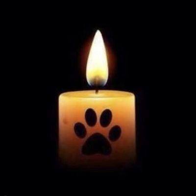 VernonCron47526's profile picture. Every day I get up and look through the Forbes list of the richest people in America. If I’m not there, I go to work.