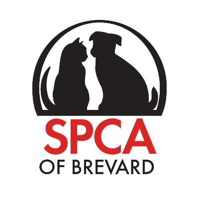 Fostering the Human-Animal Bond Since 1979 ❤️ #adoptspcabrevard