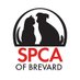 SPCA of Brevard (@spcabrevard) Twitter profile photo