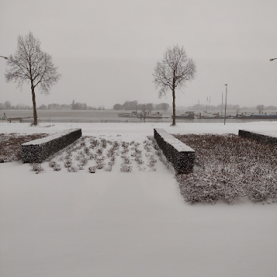 JanBoer850927's profile picture. 