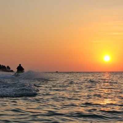 MMjanbein's profile picture. 