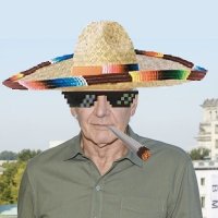 Harrison Ford Fiesta(@HFFiesta) 's Twitter Profile Photo