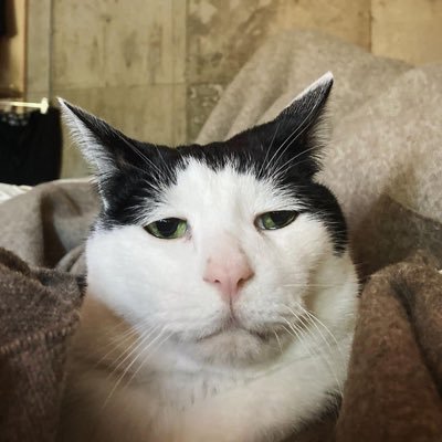 ngthithe75's profile picture. CQMNB554