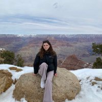 Alice Pettitt (@alicejpettitt) 's Twitter Profile