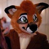 swiftyswiftfox.bsky.socal ☘🦊 (@swifty_swiftfox) 's Twitter Profile