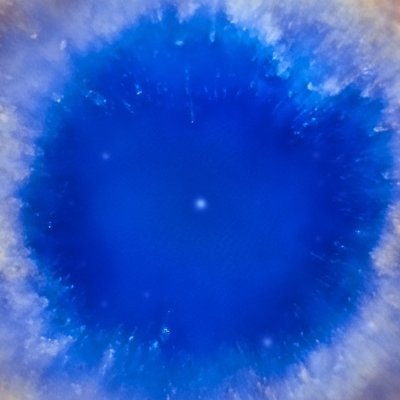 KYCSKNN's profile picture. Çünkü bu, ne vaazdır, ne öğreti, ne emir ne de baskı. Bu yalnızca şarkıdır. Ve başlangıçta Kelime yoktu, cıvıltılar vardı.