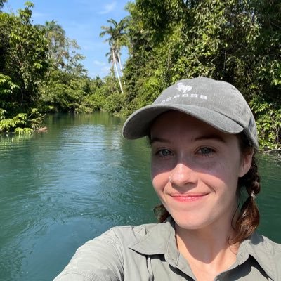 Undergrad at UT Austin interested in tropical forest environments, community ecology, and remote sensing.