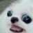 fonfara04's profile image