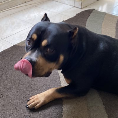 osowip's profile picture. Trasplantado de Riñón y Páncreas 2017 #segundasoportunidades