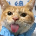 Thea - @7u7TheaLong - Twitter