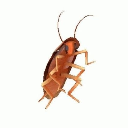 Create_cucarach's profile picture. I mean, who cares?
