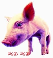 piggyjustin's profile picture. A proud servitude of female gender