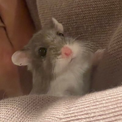 ayu_hikikatari's profile picture. 20歳|弾き語り|ギター|バンド 「音楽を誰かの活力に。」