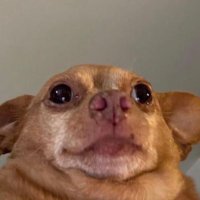 𝖘𝖙𝖍𝖊 (@sthethelelwe_) 's Twitter Profile Photo
