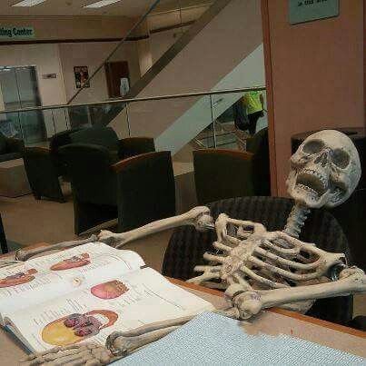 moonlaryy's profile picture. Medicina 🩺

Cristã 

Josué 1:9