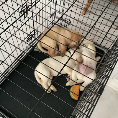 JasonPettit2931's profile picture. 