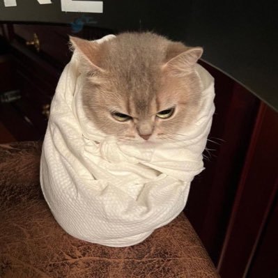 ImTheBaaadguyyy's profile picture. if our grave was watered by the rain, would roses bloom?🥀💫