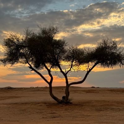 960Temo's profile picture. 