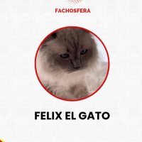 CUENTA PARODIA (@alexyfelixs) 's Twitter Profile Photo