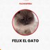 felix el gato (@Alexyfelixs) Twitter profile photo