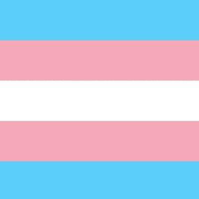 Trans rights yeg