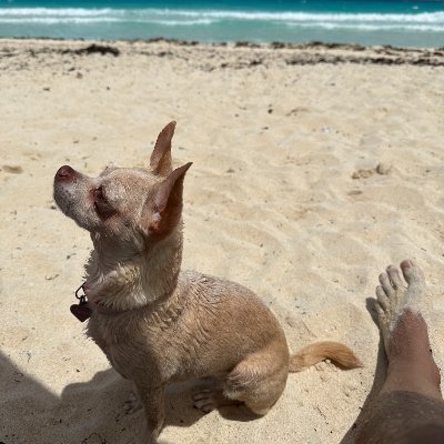 edrendar's profile picture. Hazlo o no lo hagas, pero no lo intentes. Yoda