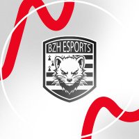 BZH ESPORTS (@bzh_esports) 's Twitter Profile
